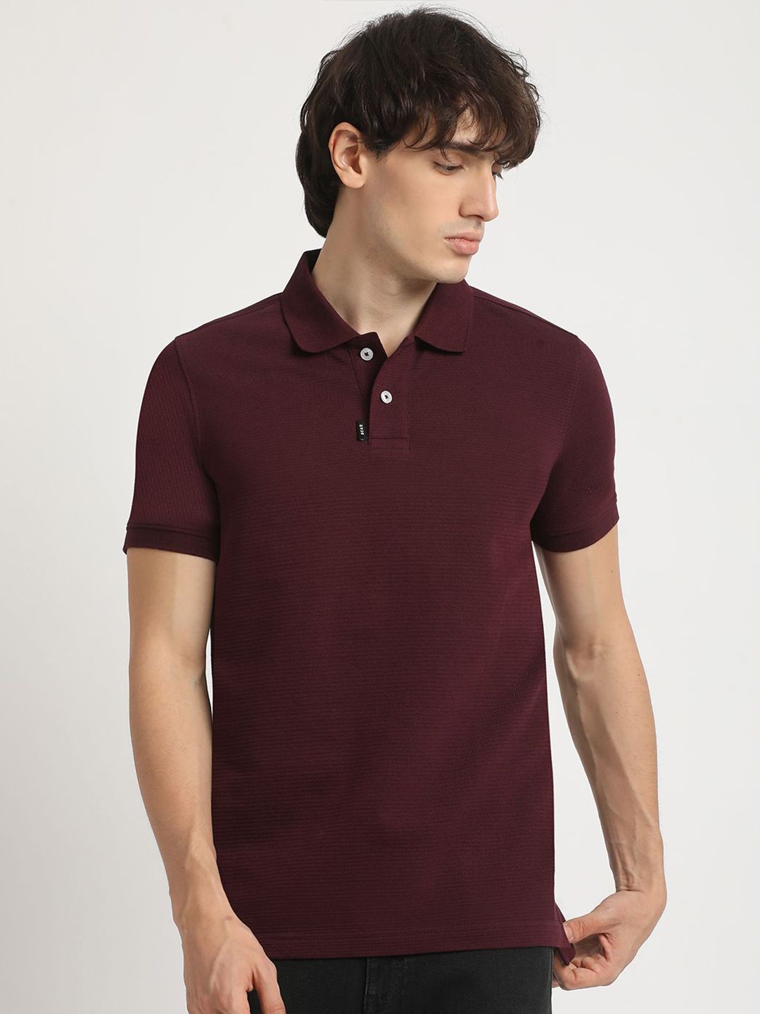 THE BEAR HOUSE Self Design Polo Collar Pure Cotton T-shirt