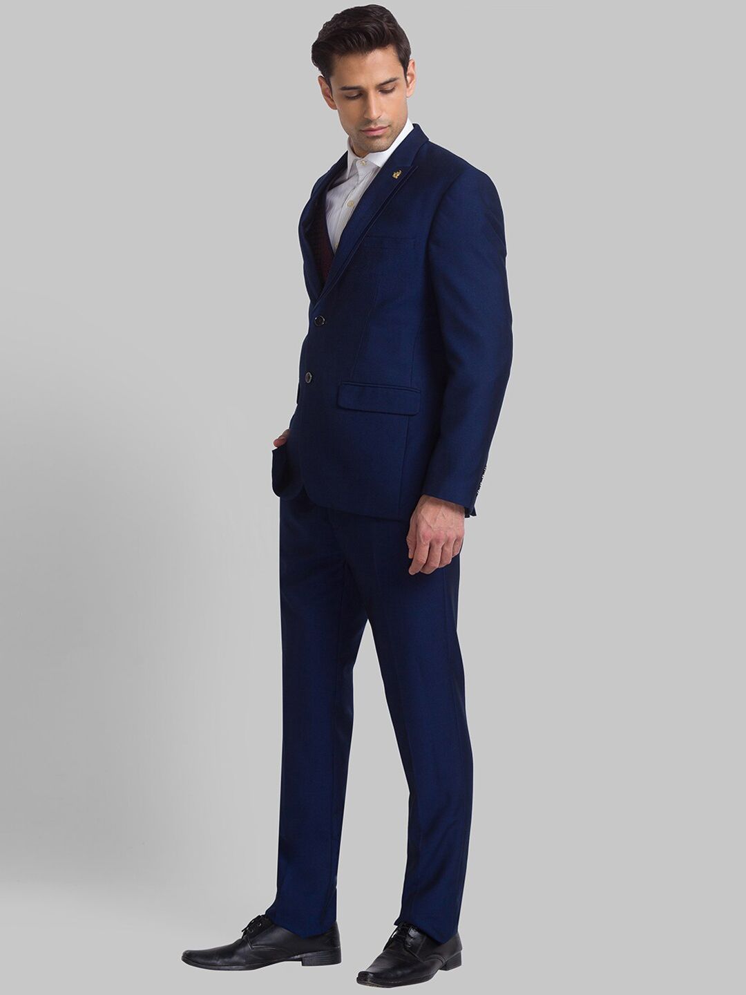 Raymond Men Single-Breasted Three-Piece Formal Suit