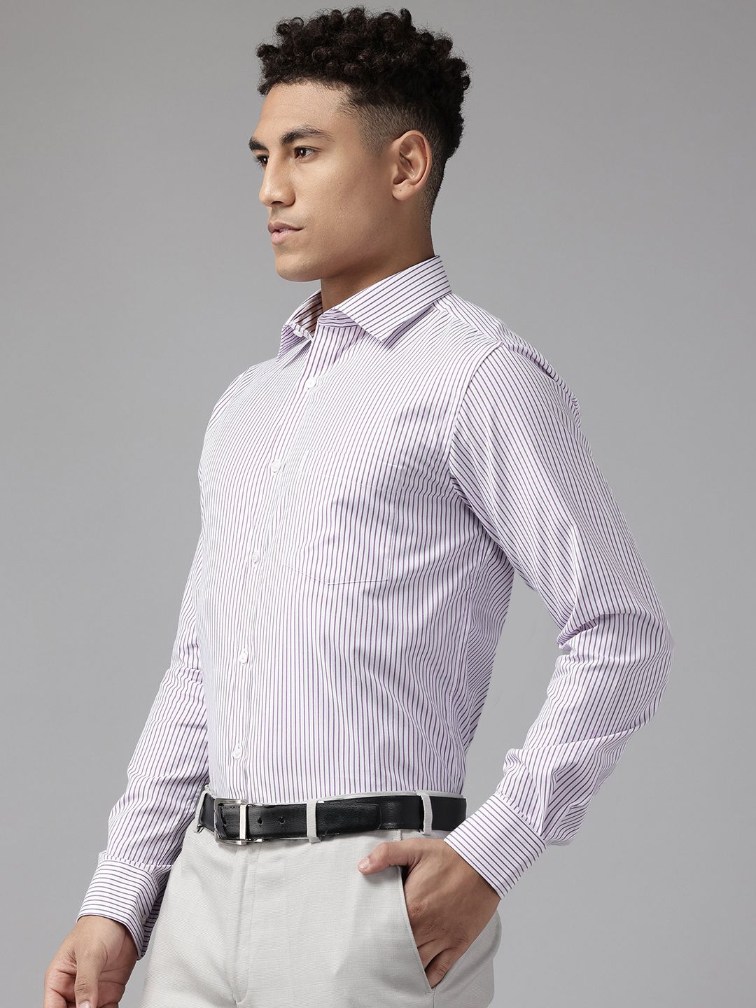 Park Avenue Slim Fit Striped Formal Shirt