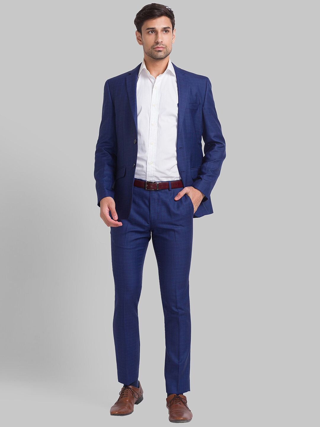 Park Avenue Men Checked Single-Breasted 2-Piece Suit