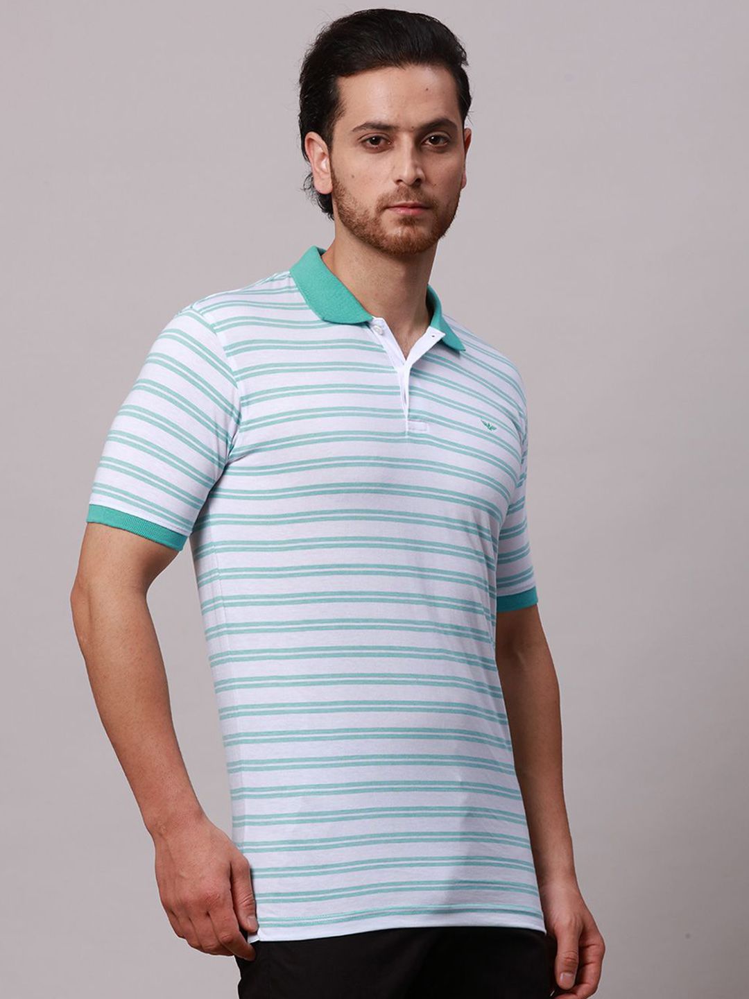 Park Avenue Men Striped Polo Collar Pockets Slim Fit T-shirt