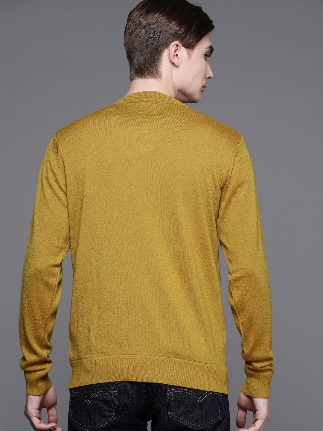 Raymond Men Solid Pullover