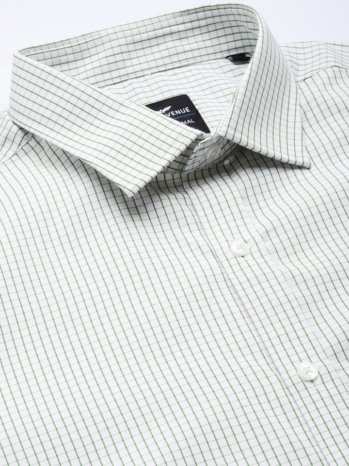 Park Avenue Slim Fit Checked Formal Shirt