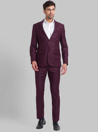 Park Avenue Men Checked Super 2 Piece Formal Suit