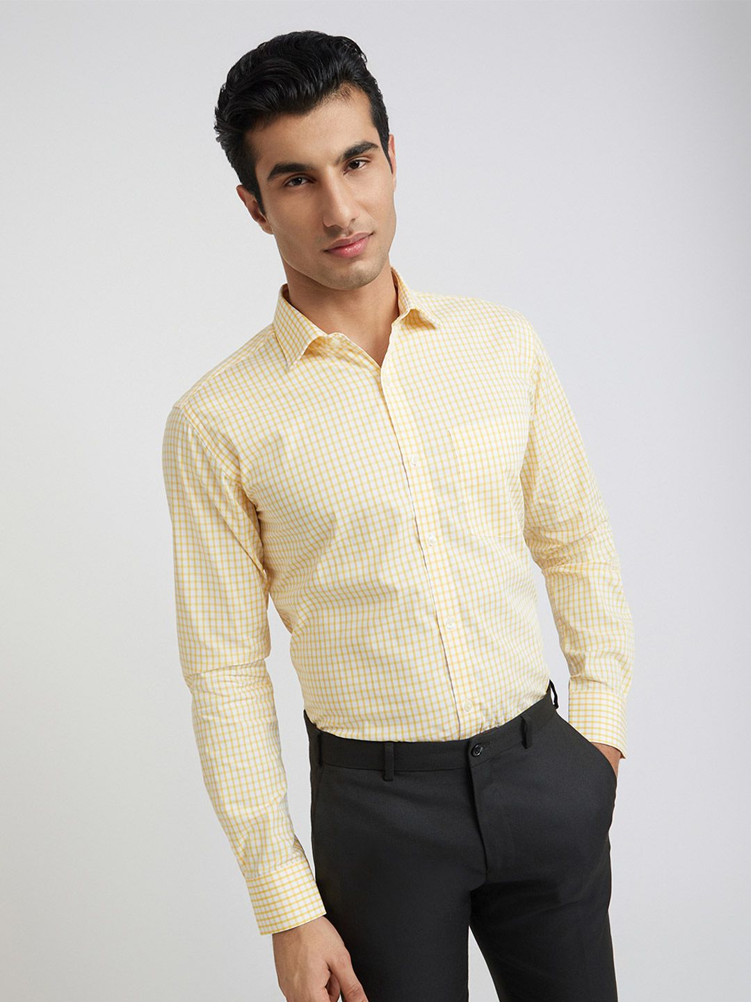 Park Avenue Slim Fit Gingham Checks Pure Cotton Formal Shirt