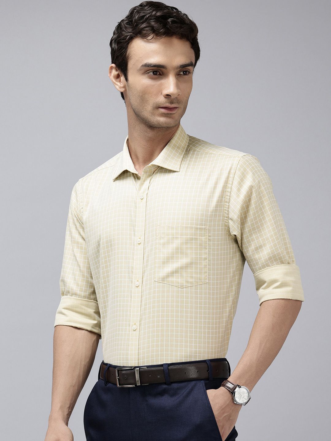 Park Avenue Slim Fit Checked Formal Shirt