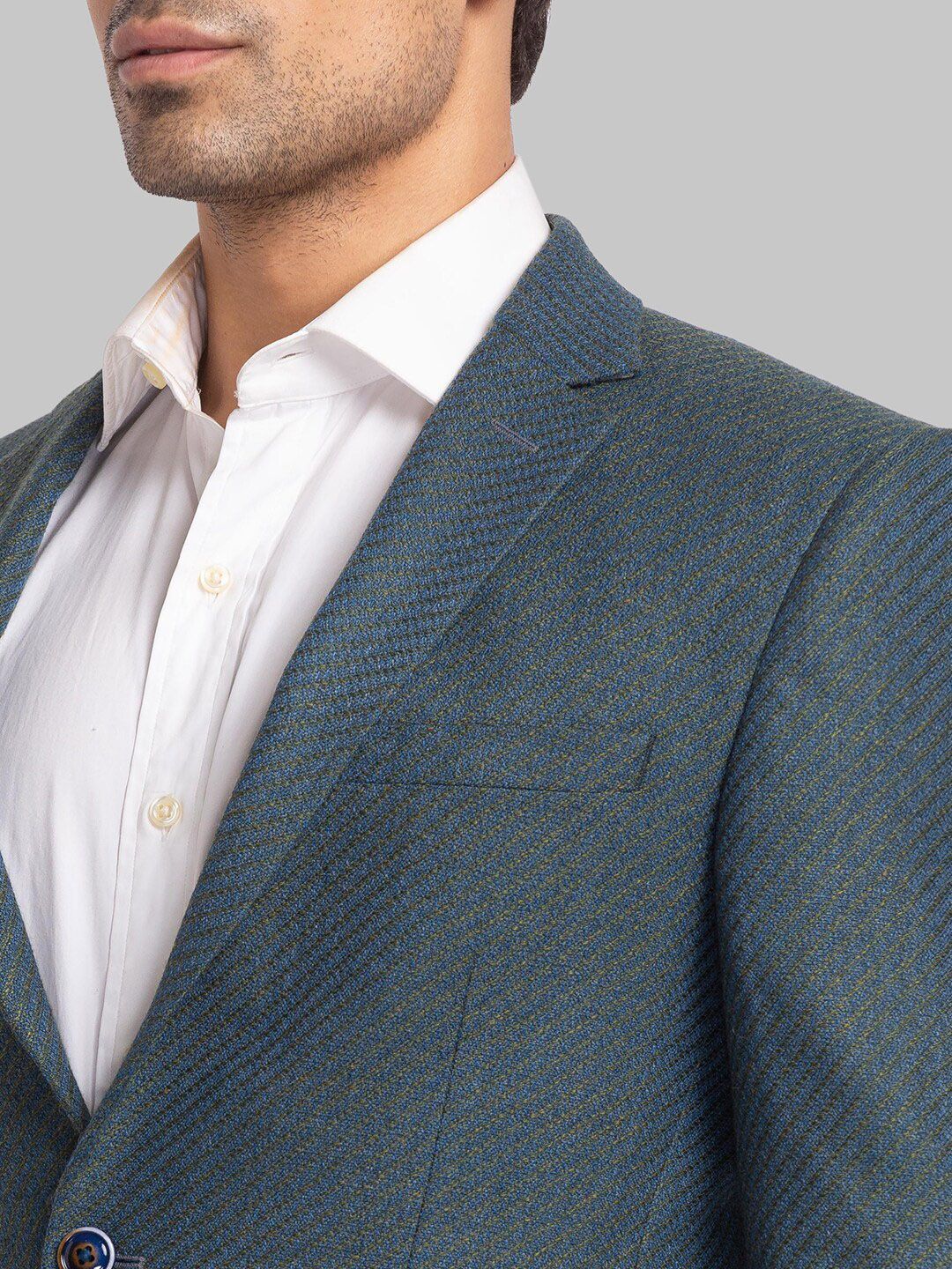 Park Avenue Men Single Breasted Blazers