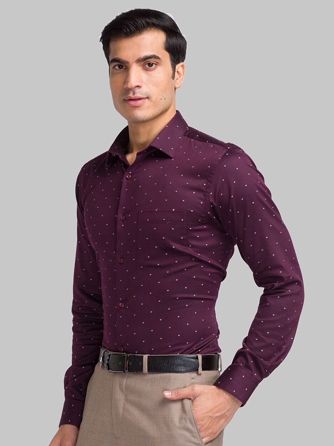 Park Avenue Printed Cotton Opaque Formal Shirt