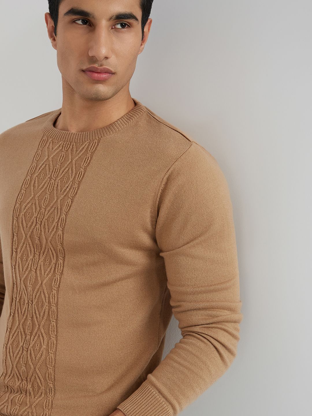 Raymond Men Beige Self Design Pullover