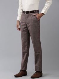Park Avenue Men Self-Checked Formal Trousers