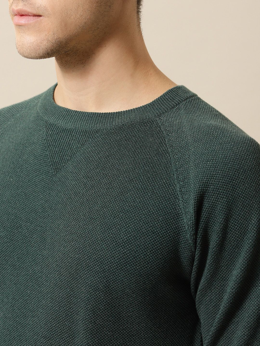 Mr Bowerbird Men Green Solid Tailored Fit Round Neck Sweater Pure Cotton T-shirt
