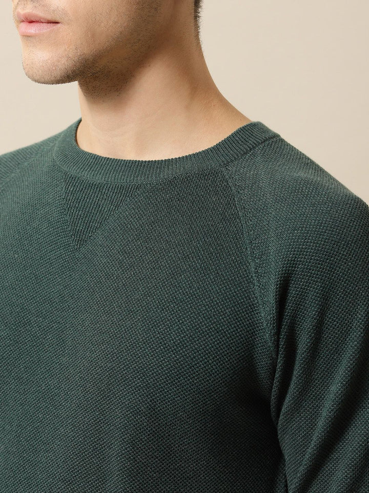 Mr Bowerbird Men Green Solid Tailored Fit Round Neck Sweater Pure Cotton T-shirt