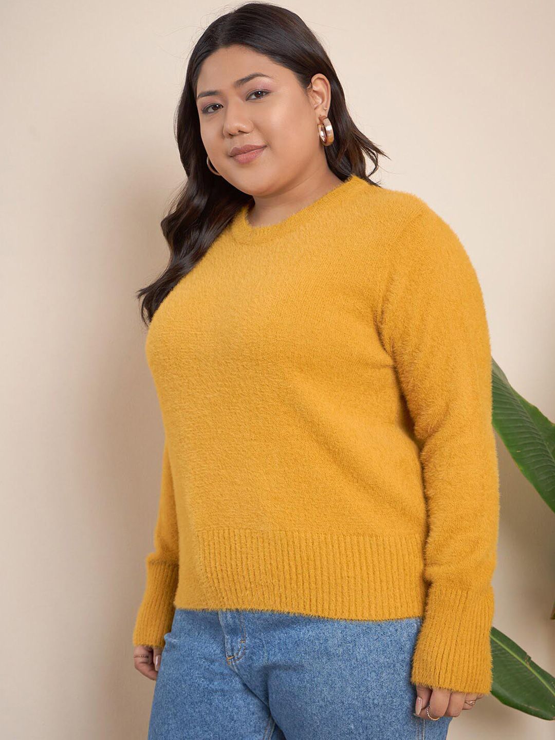 CURVY STREET Cable Knit Self Design Pullover Acrylic Sweater