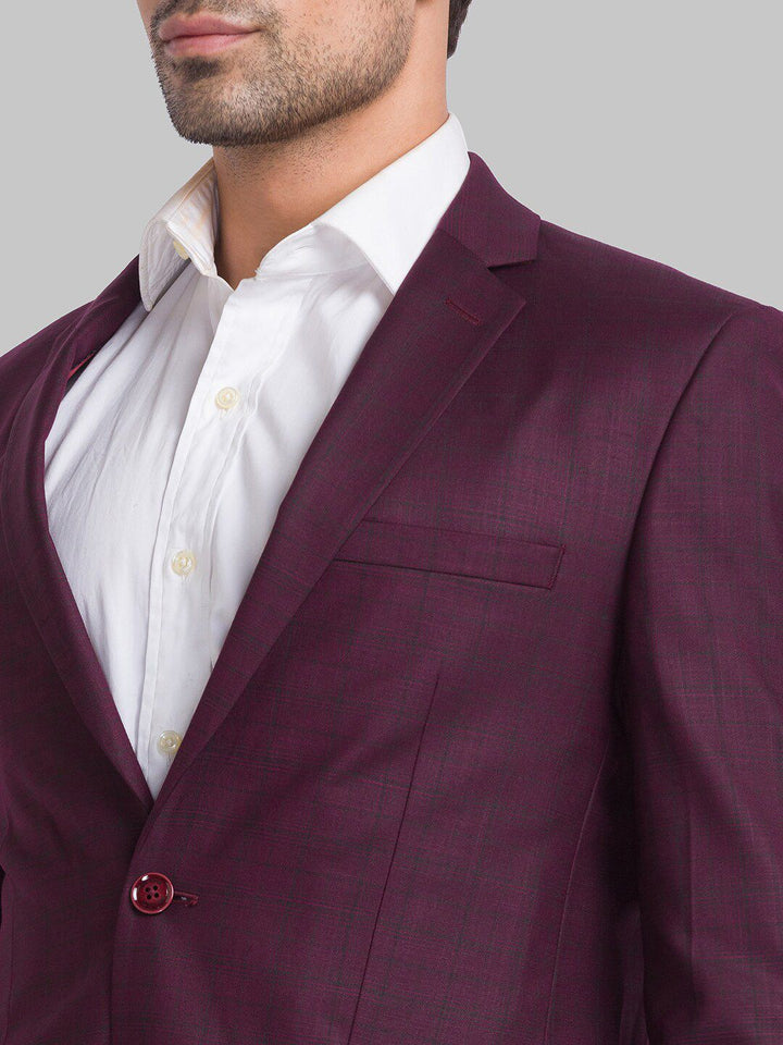 Park Avenue Men Checked Super 2 Piece Formal Suit