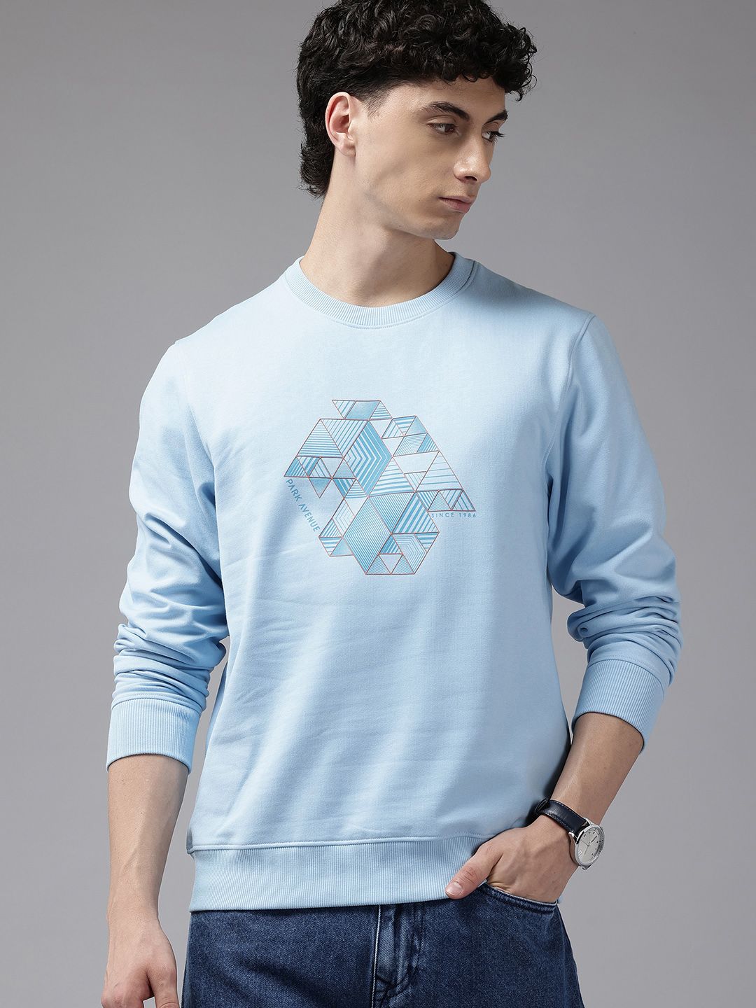 Park Avenue Geometric Printed Sweatshirt