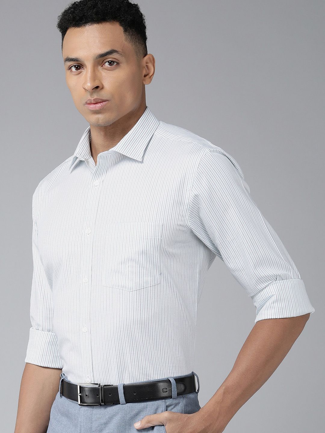 Park Avenue Slim Fit Pure Cotton Striped Formal Shirt