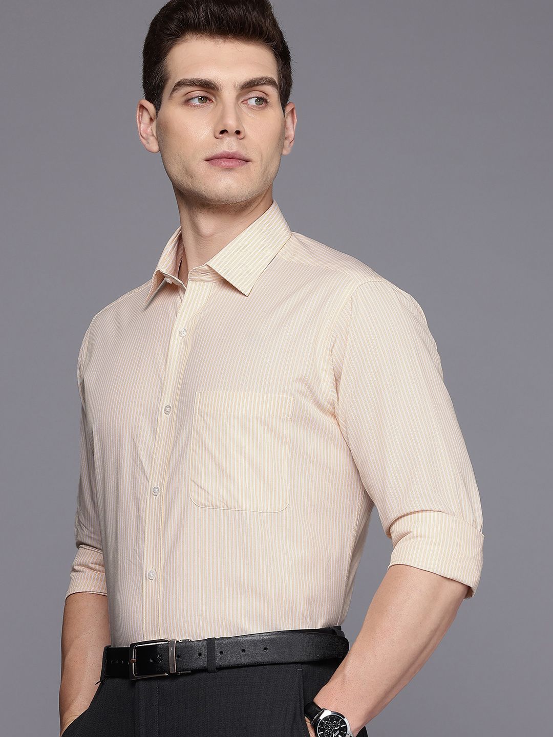Raymond Slim Fit Striped Pure Cotton Formal Shirt