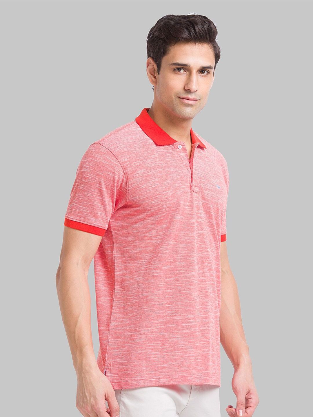Park Avenue Polo Collar Short Sleeves Slim Fit T-shirt