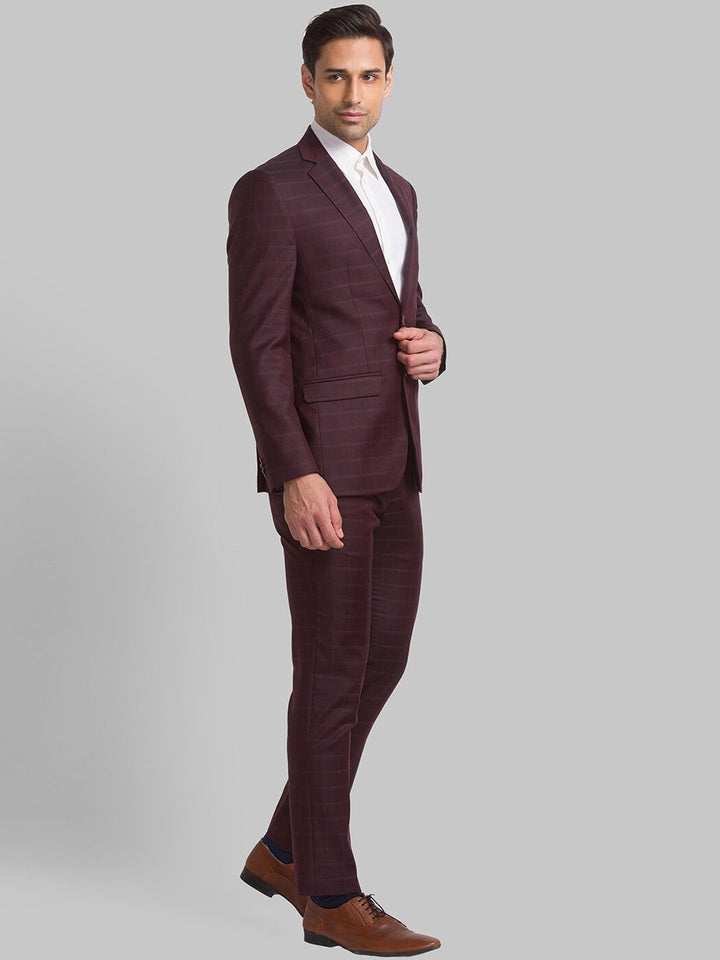 Park Avenue Men Checked Single Breasted Two Piece Formal Suit