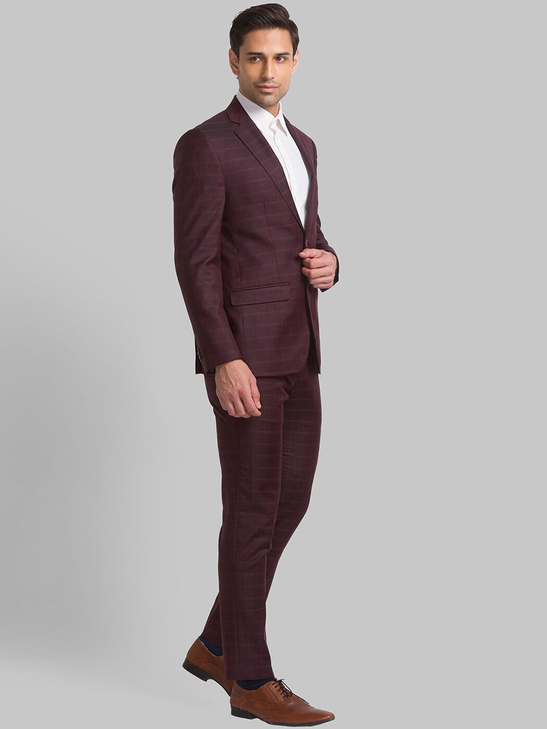 Park Avenue Men Checked Single Breasted Two Piece Formal Suit