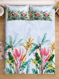 Moda Rapido X KLOTTHE Blue & Pink Floral 400 TC King Bedsheet with 2 Pillow Covers