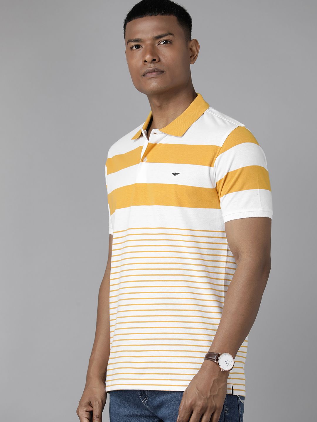 Park Avenue Men Striped Polo Collar Slim Fit T-shirt