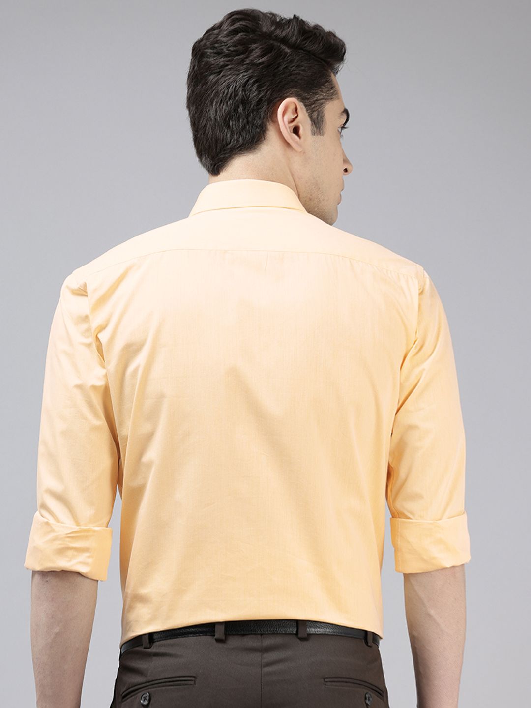 Park Avenue Slim Fit Formal Shirt