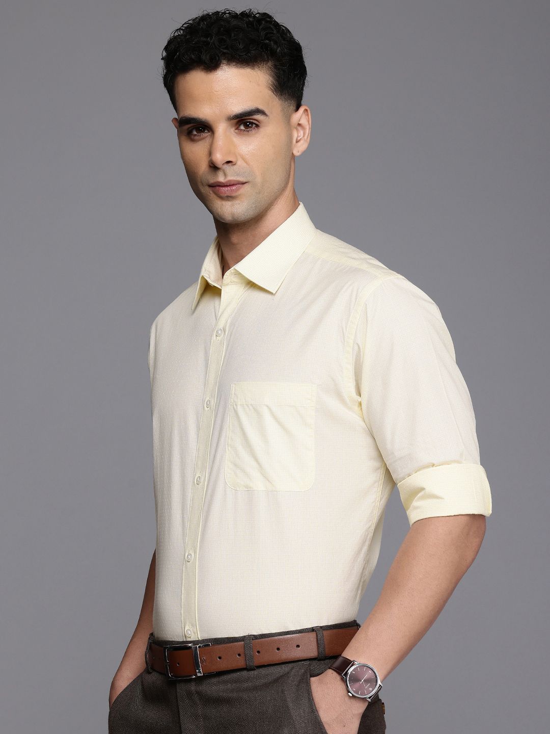 Raymond Slim Fit Opaque Checked Pure Cotton Formal Shirt