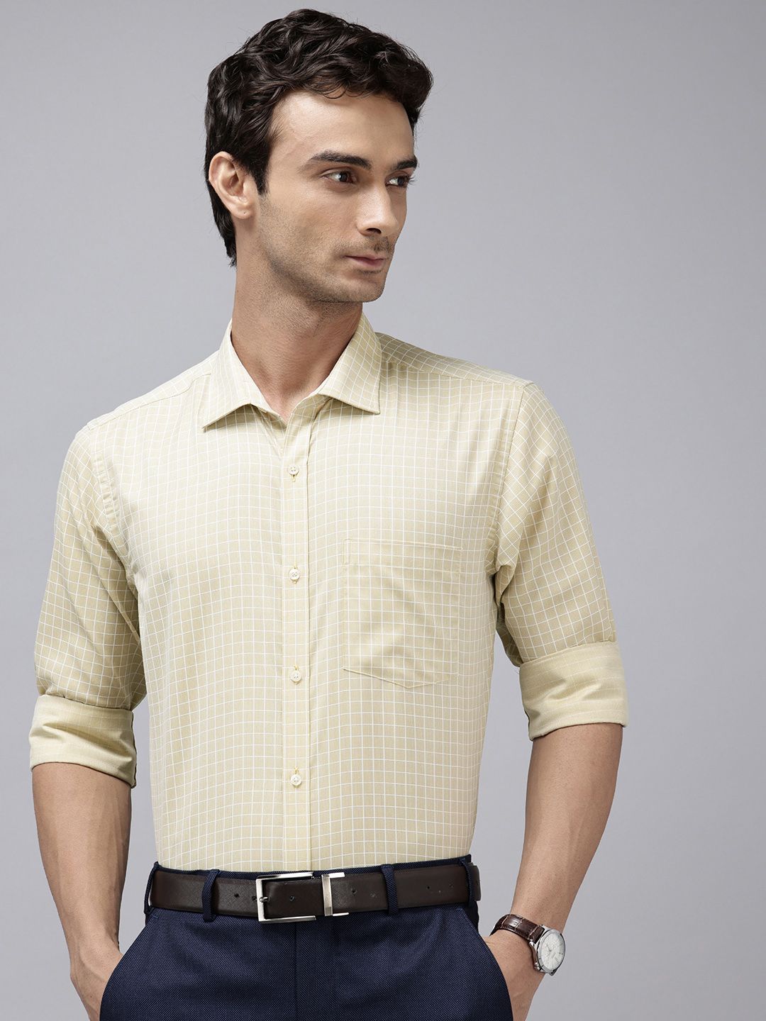 Park Avenue Slim Fit Checked Formal Shirt