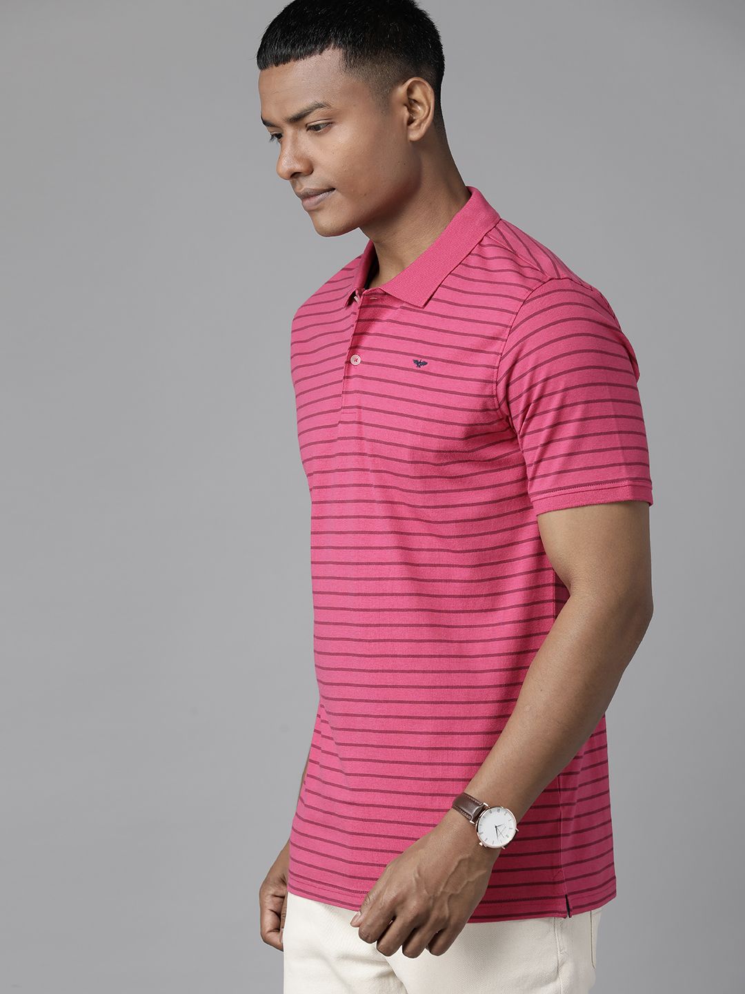 Park Avenue Men Striped Polo Collar Slim Fit T-shirt