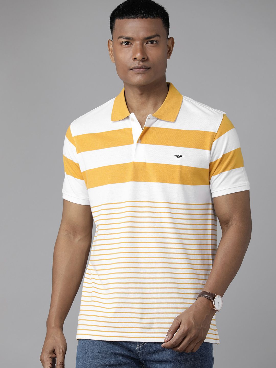 Park Avenue Men Striped Polo Collar Slim Fit T-shirt