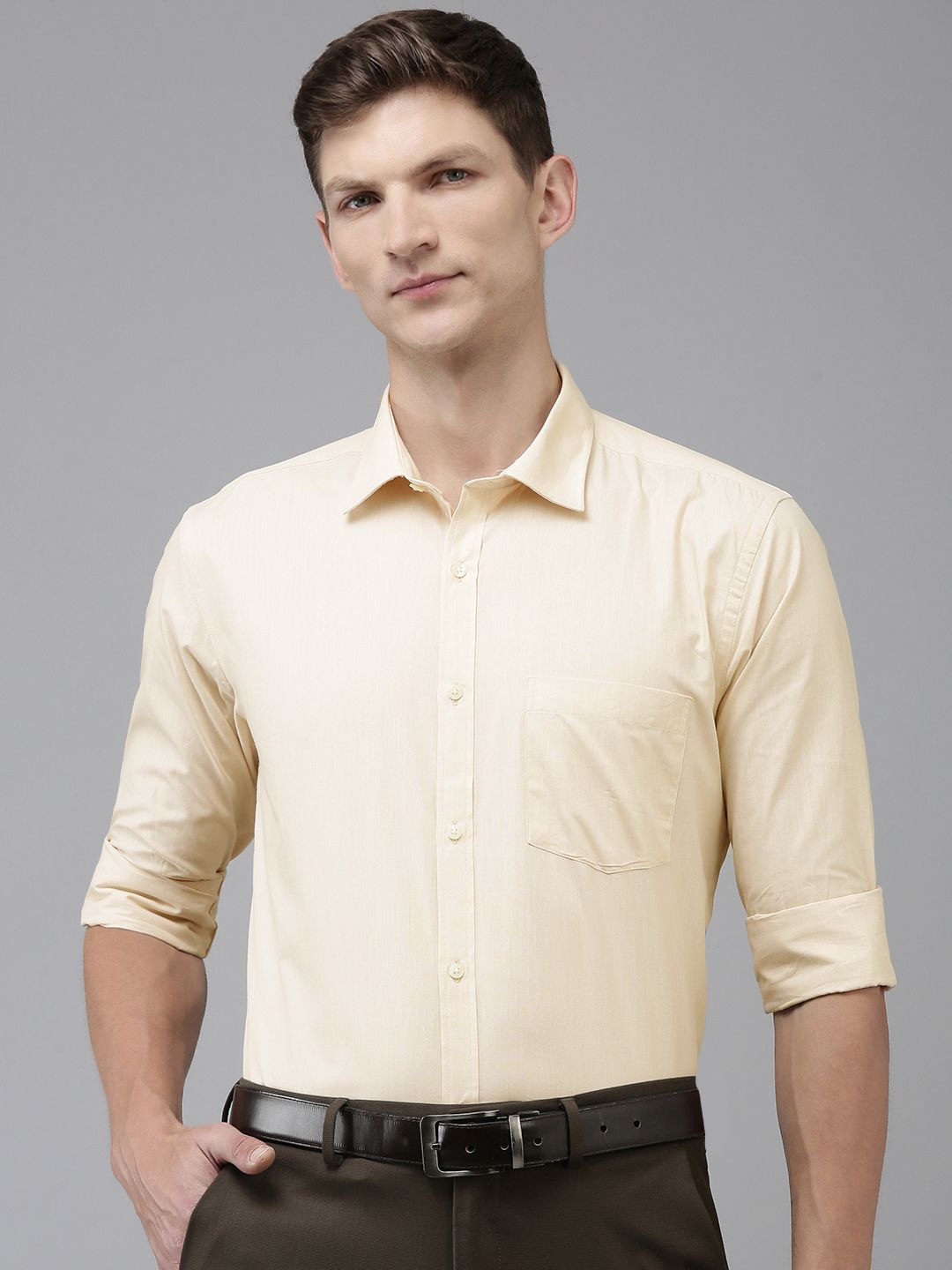 Park Avenue Slim Fit Pure Cotton Formal Shirt