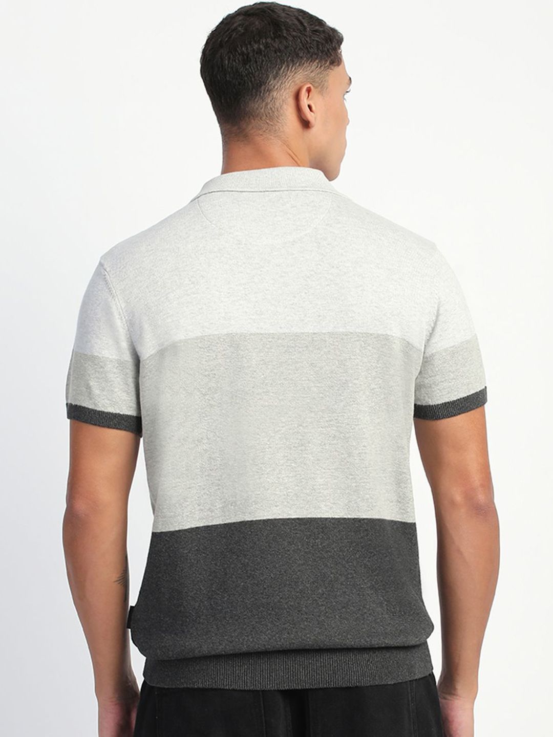 THE BEAR HOUSE Men Colourblocked Polo Collar T-shirt