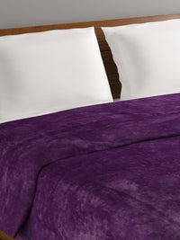 BOMBAY DYEING Fidelis Purple Mild Winter 284 GSM Double Bed Blanket