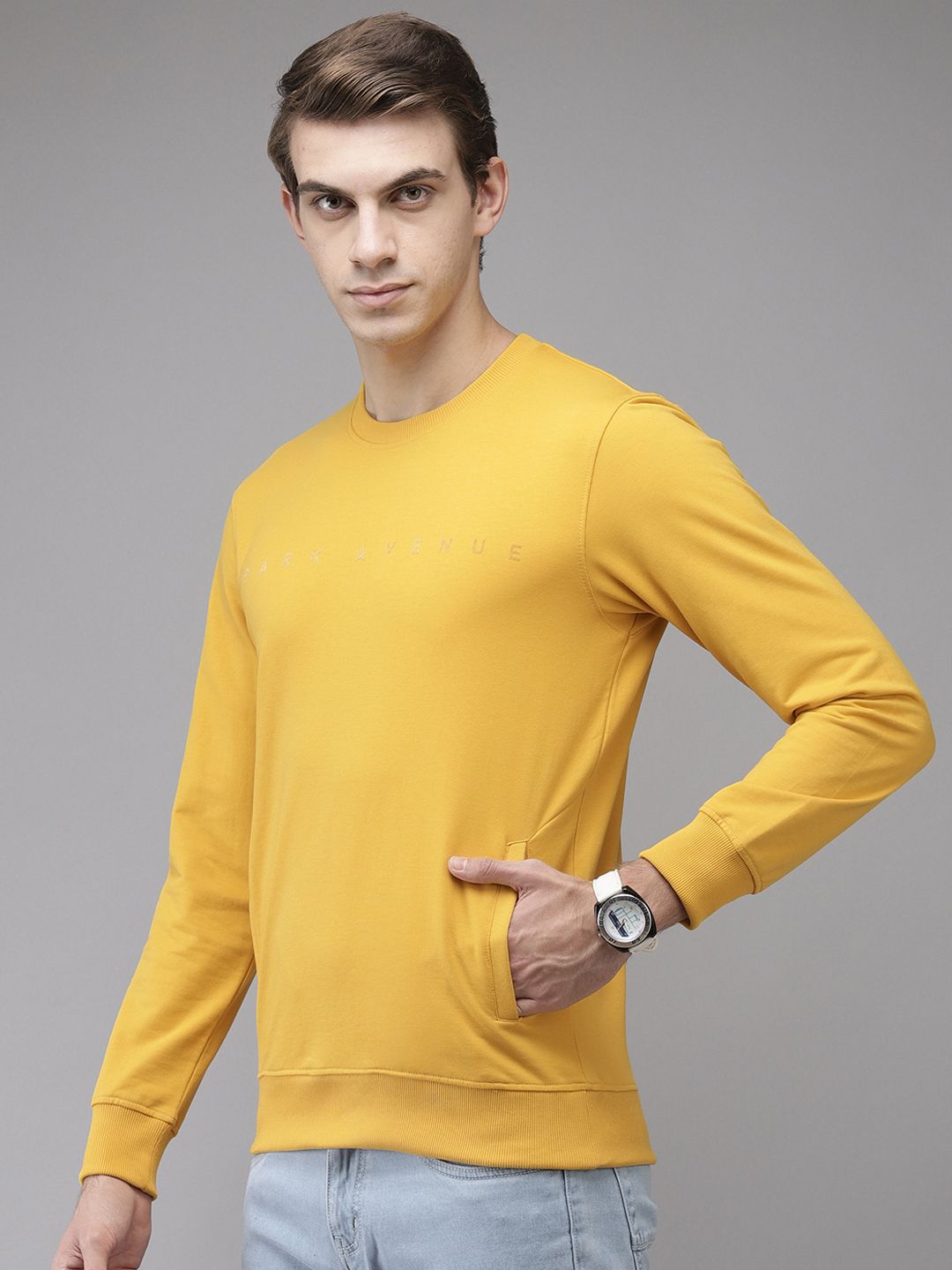 Park Avenue Men Yellow Brand Logo Printed Sweatshirt