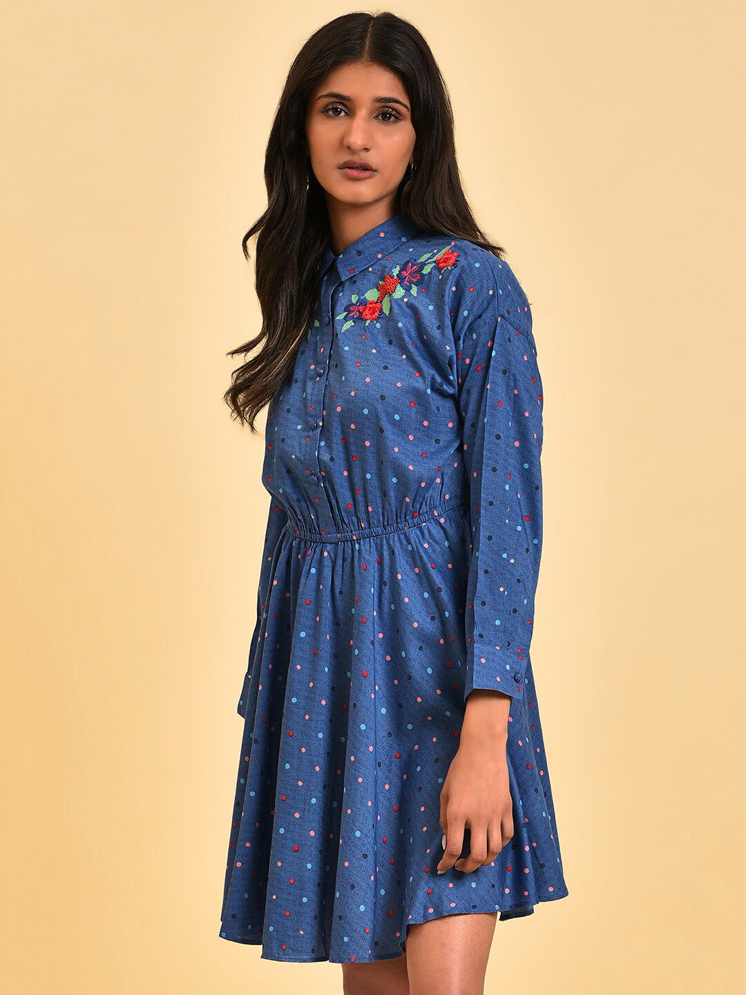 W Blue Polka Dots Embroidered Detailed Shirt Collar  Fit & Flare Dress