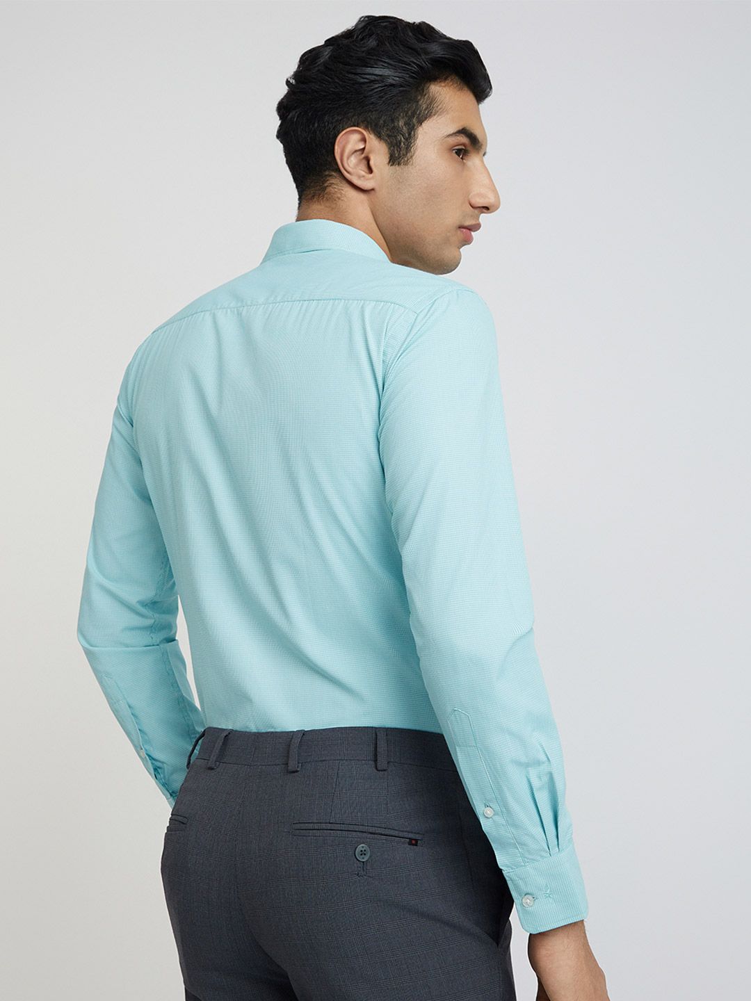 Park Avenue Slim Fit Micro Checks Opaque Formal Shirt