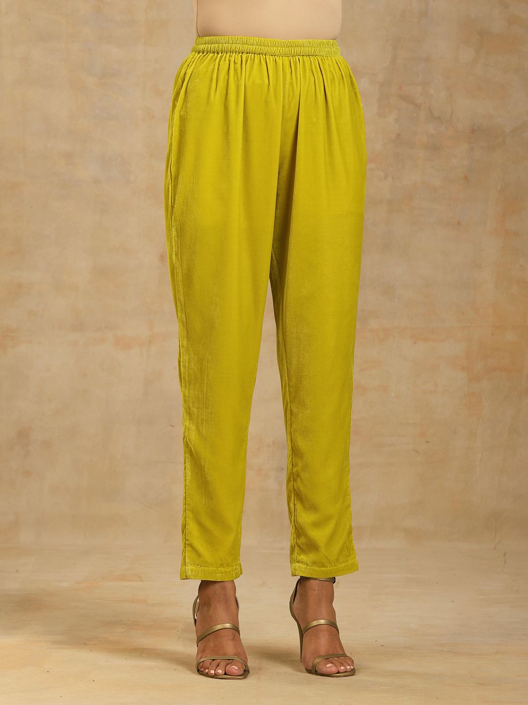 trueBrowns Women Straight Fit Velvet Regular Trouser