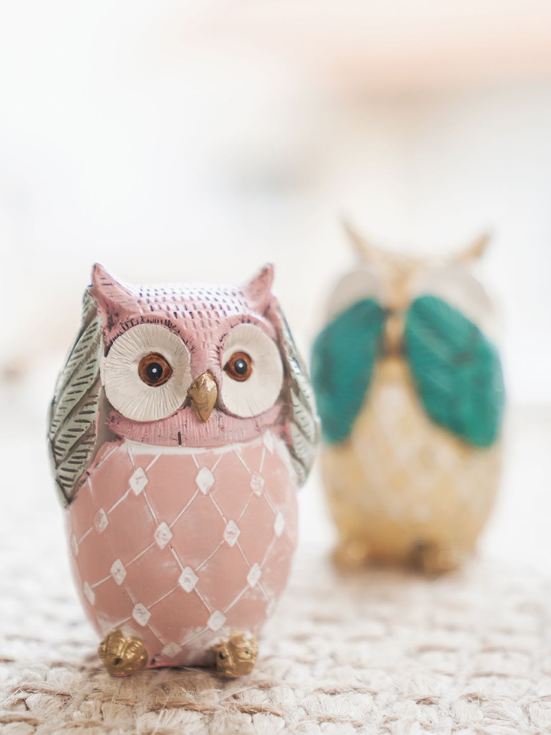 Set Chumbak 3 Pameran Burung Hantu Pencerahan