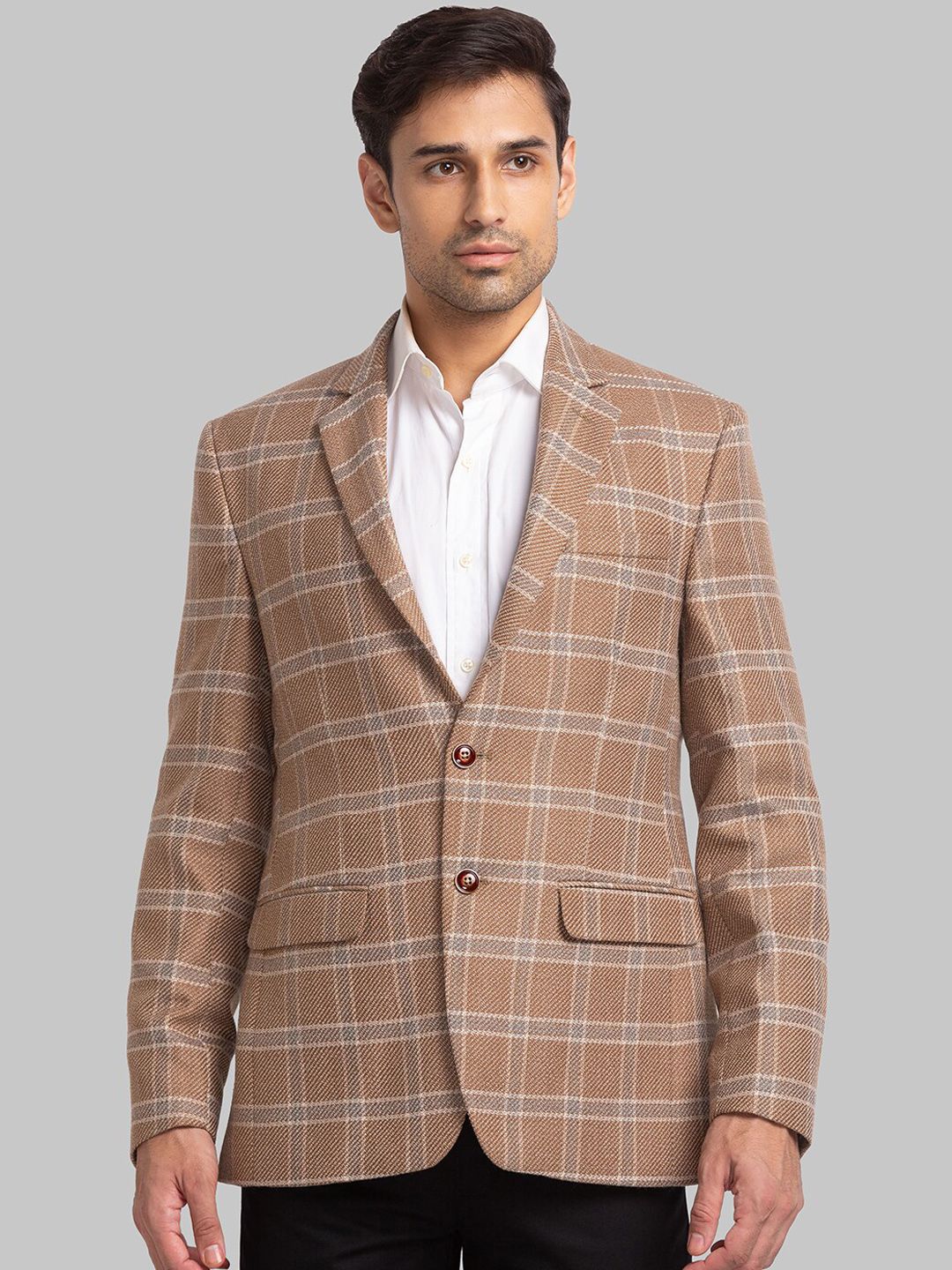 Park Avenue Men Checked Single Breasted Blazers