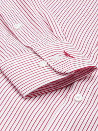 Park Avenue Slim Fit Opaque Striped Formal Shirt