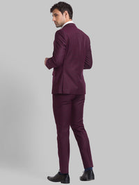 Park Avenue Men Checked Super 2 Piece Formal Suit