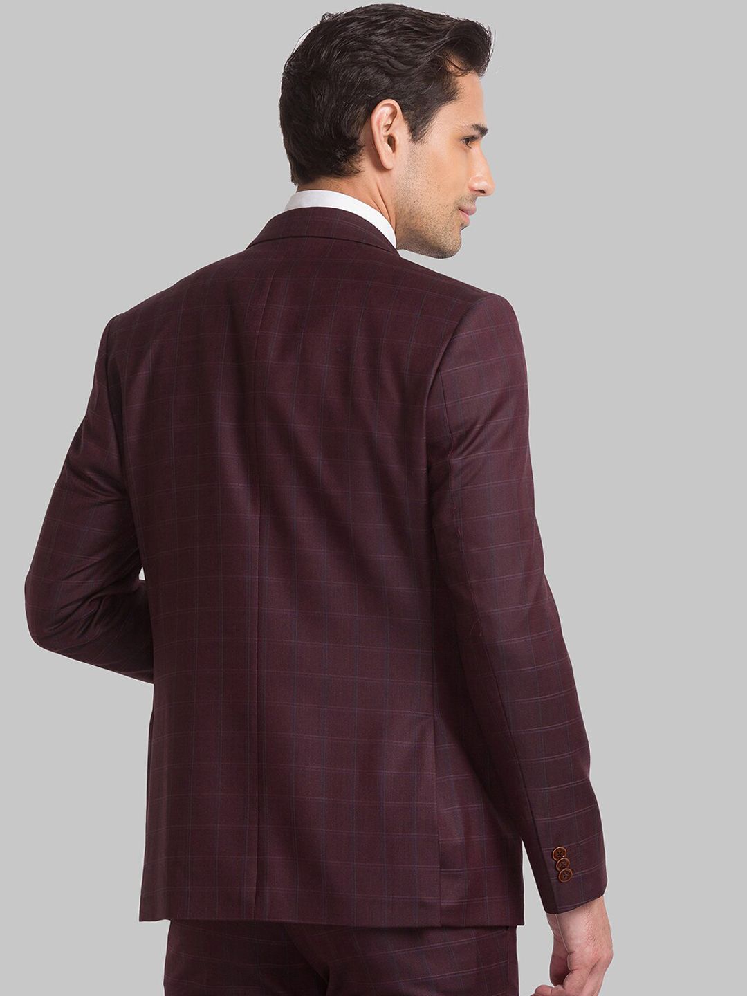 Park Avenue Men Checked Single Breasted Two Piece Formal Suit