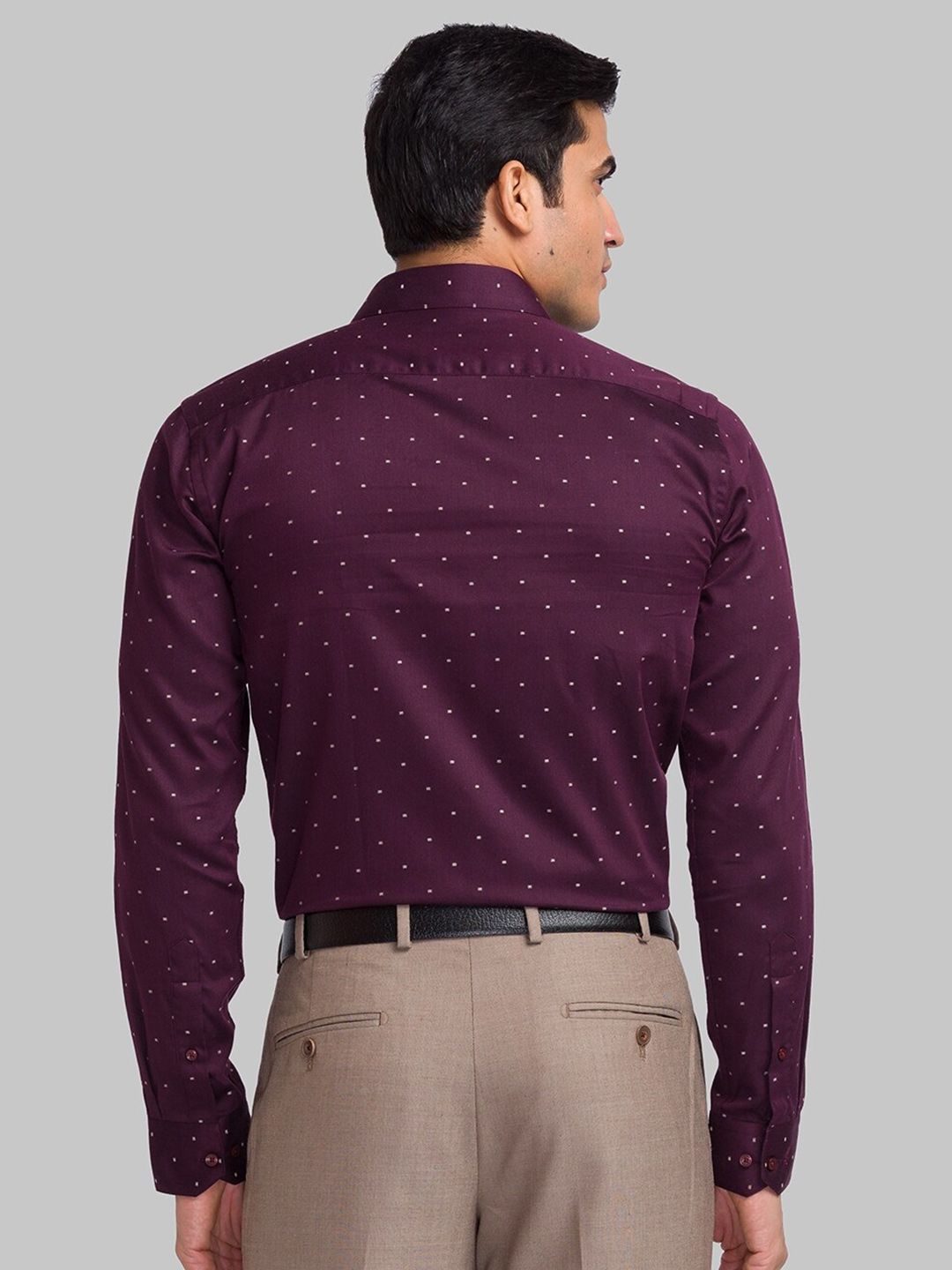 Park Avenue Printed Cotton Opaque Formal Shirt
