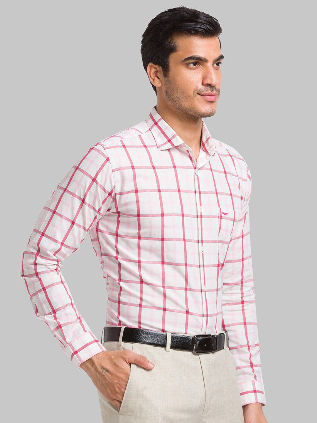 Park Avenue Slim Fit Windowpane Checked Pure Cotton Formal Shirt