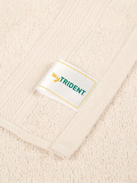 MYTRIDENT Beige 6 Pieces Cotton 500 GSM Highly Absorbent Face Towels
