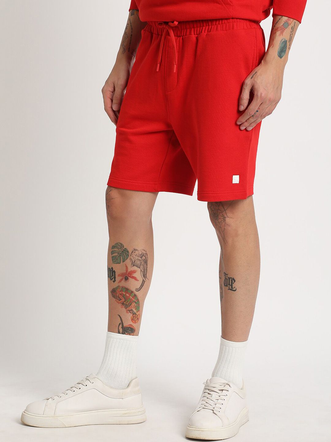 THE BEAR HOUSE Men Regular Fit Mid Rise Cotton Shorts
