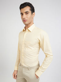 Raymond Pure Cotton Slim Fit Formal Shirt