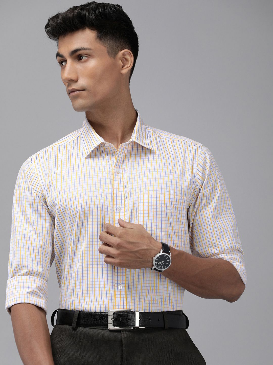 Park Avenue Slim Fit Checked Formal Shirt