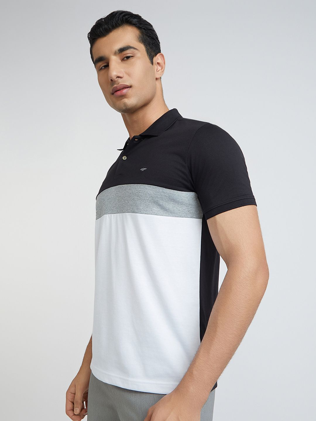 Park Avenue Colourblocked Polo Collar Slim Fit T-shirt
